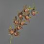 Dekozweig Cymbidium Orchidee YAMEI, dunkelrot-grün, 80cm, Ø8-9cm