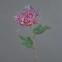 Dekoblume Chrysantheme YASULI, lila-mauve, 70cm, Ø18cm