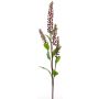 Dekozweig Kermesbeere SULIYA, Beeren, burgunderrot, 95cm