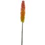 Kunstblume Fackellilie QIUMIN, orange, 85cm