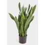 Künstliche Sansevieria BEYZA, grün, 95cm
