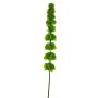 Deko Blume Irlandglocke ANCHEN, grün, 75cm