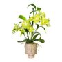 Künstliches Gesteck Orchidee Bambus MARAKI im Zementtopf Buddha, Wurzeln, hellgrün, 60cm