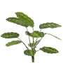 Kunstpflanze Calathea roseopicta WENFYN, Steckstab, grün, 55cm