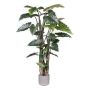 Künstliche Pflanze Colocasia LUMHER, Kunststamm, Zementtopf, grün, 260cm