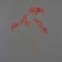 Schafgarbe Deko Zweig ORTEGA, altrosa, 75cm, Ø7-13cm