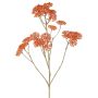 Schafgarbe Deko Zweig ORTEGA, orange, 75cm, Ø7-13cm