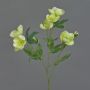 Künstlicher Christrosen Zweig ANYALA, grün-weiß, 60cm, Ø5-6cm