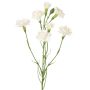 Kunstblumenzweig Nelke PIARA, weiß, 60cm, Ø3-5cm
