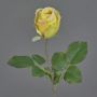 Künstliche Blume Rose POPI, gelb-grün-rosa, 55cm, Ø7cm