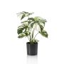Fake Philodendron Monstera Deliciosa Variegata ZAINE, grün-weiß, 40cm