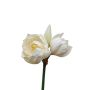 Künstliche Amaryllis GRELTA, creme-gelb, 80cm