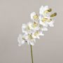 Cymbidium Orchideenzweig künstlich LANAKILA, weiß, 70cm, Ø9cm