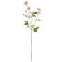 Kunstblumenzweig Chrysantheme REINHARDA, rosa-weiß, 65cm