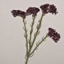Kunstblume Strandflieder AYISHA, Trockenoptik, dunkelviolett, 65cm, 3,5x6cm