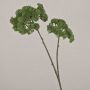 Kunstblumenzweig Sedum telephium VALBONA, Trockenoptik, grün, 70cm, Ø9-11cm