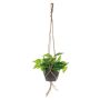 Künstliche Efeutute Blumenampel CASON im Dekotopf, grün, 60cm