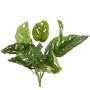 Künstlicher Philodendron Monstera adansonii ARKADIO, Steckstab, 40cm