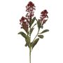 Kunstpflanzen Zweig Skimmie LAUSANA mit Blüten, burgunderrot, 65cm, Ø7cm