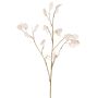 Kunstpflanze Zweig Lunaria KONIA, creme, 95cm