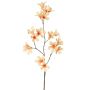 Kunstblumenzweig Jasmintrompete AURINA, pfirsich, 90cm