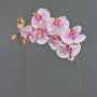 Dekozweig Phalaenopsis Orchidee WESA, rosa-weiß, 90cm, Ø11-12,5cm