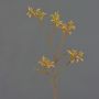 Deko Kängurublume LEOBER, gelb-orange, 75cm, Ø4-8cm