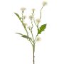 Künstliche Wiesen-Flockenblume HOLLA, weiß, 55cm, Ø3-4cm