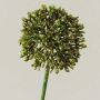 Künstlicher Allium HELLA, Glitzer, grün-gold, 45cm, Ø8cm