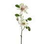 Kunstblumen Zweig Sternmagnolie BLOVI, hellgrün, 60cm