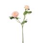 Dekozweig Ranunkel FLORANCE, rosa-lachs, 45cm