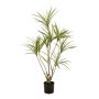 Kunstbaum Dracaena marginata SHALLU, Kunststämme, grün, 120cm