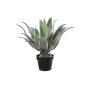 Kunst Sukkulente Agave americana KYANO, Dekotopf, grün-creme, 55cm