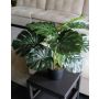 Künstlicher Philodendron Monstera Deliciosa MUNIN, 55cm