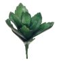 Deko Sukkulente Kalanchoe thyrsiflora MATTS, Steckstab, grün, 18cm