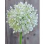 Künstlicher Allium HELLA, Glitzer, creme-grün, 45cm, Ø8cm