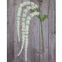 Künstlicher Amarant Zweig SENIO mit Blüten, weiß, 70cm