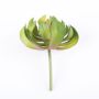 Künstliches Aeonium GERTRUDE auf Steckstab, grün-rot, 13cm, Ø11cm