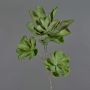 Künstlicher Echeveria tinkerbell Zweig Kunststoffschaum ORALY, grün, 95cm, Ø15-27cm