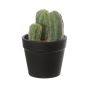 Deko Säulenkaktus NIENA, Übertopf, grün, 10cm