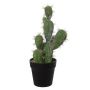 Deko San Pedro TORINU, Übertopf, grün, 40cm