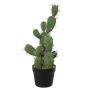 Deko San Pedro TORINU, Übertopf, grün, 50cm