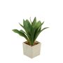 Deko Pflanze Drachenbaum-Agave HAKUNA, Übertopf, grün, 22cm