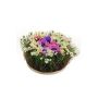 Kunst Blumengesteck Anemone Gänseblümchen IKAIA, bunt, 12cm, Ø20cm