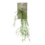 Deko Rhipsalis Hänger LOUNIDA, Steckstab, grün, 60cm