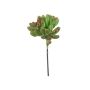Kunst Sedum pachyphyllum ODANO, Steckstab, grün-rot, 8cm