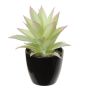 Künstliche Agave americana KOSEY, Übertopf, hellgrün-rot, 16cm