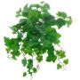 Künstlicher Weinreben Hänger IGNATIUS, Eco Collection, grün, 50cm