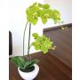 Künstliche Phalaenopsis Orchidee AURELIA im Keramiktopf, grün, 55cm