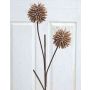 Kunststoffschaum Allium Zweig künstlich CHIRARA, braun, 90cm, Ø10cm